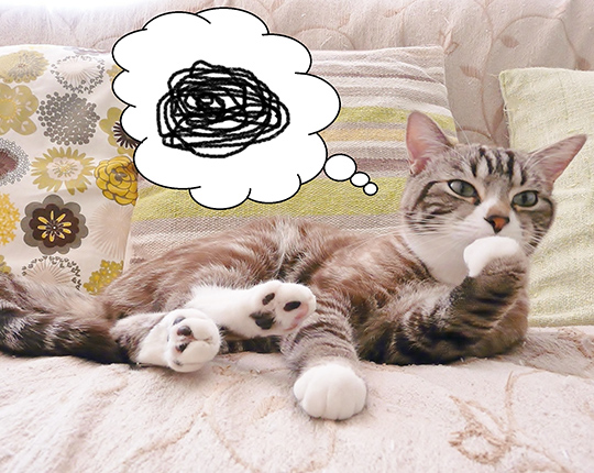 コロナだからつぶれるのか?